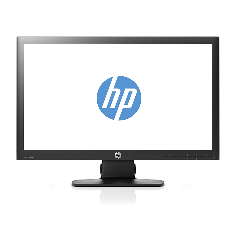 HP ProDisplay P221
