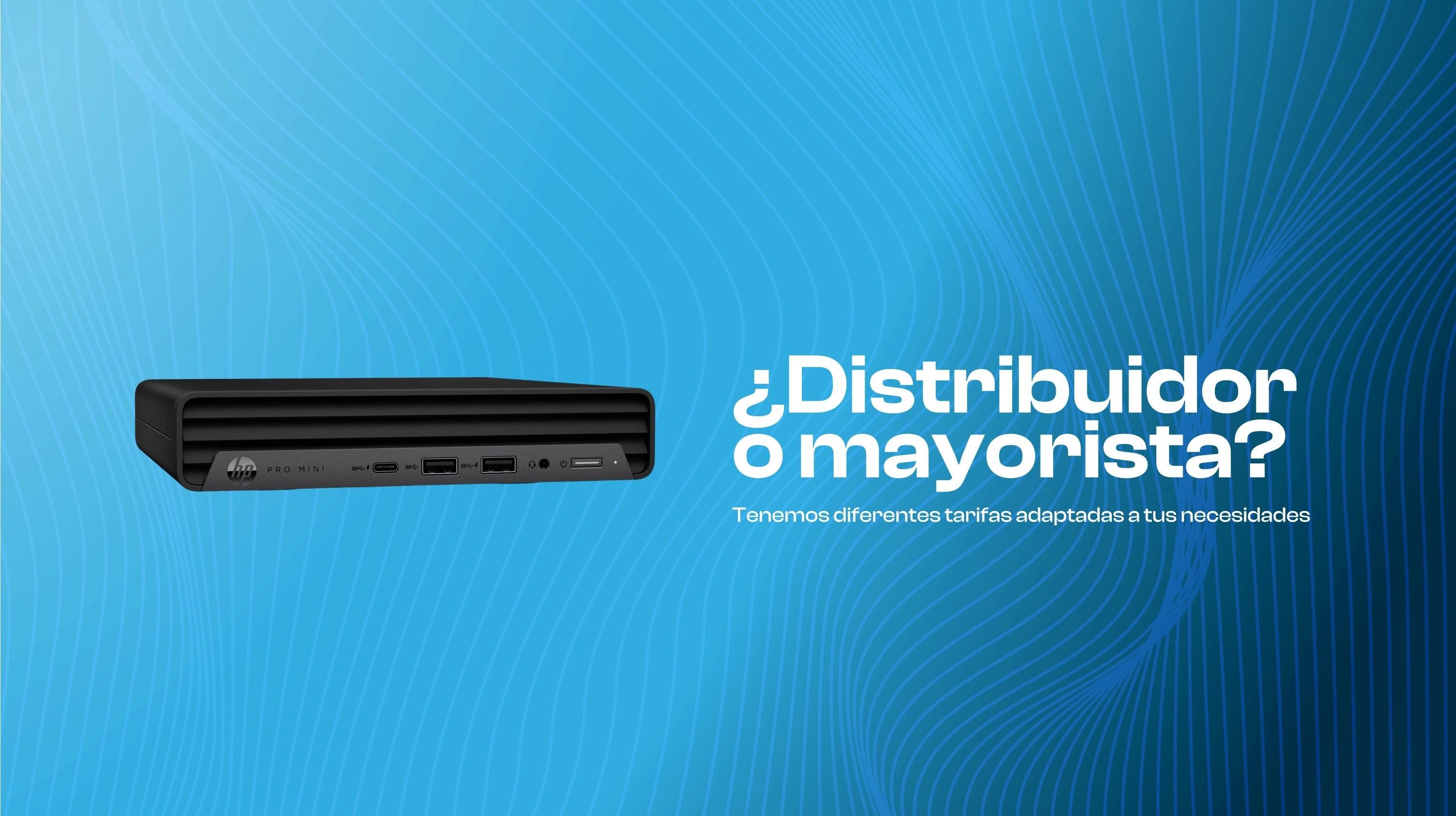 Distribuidor o mayorista